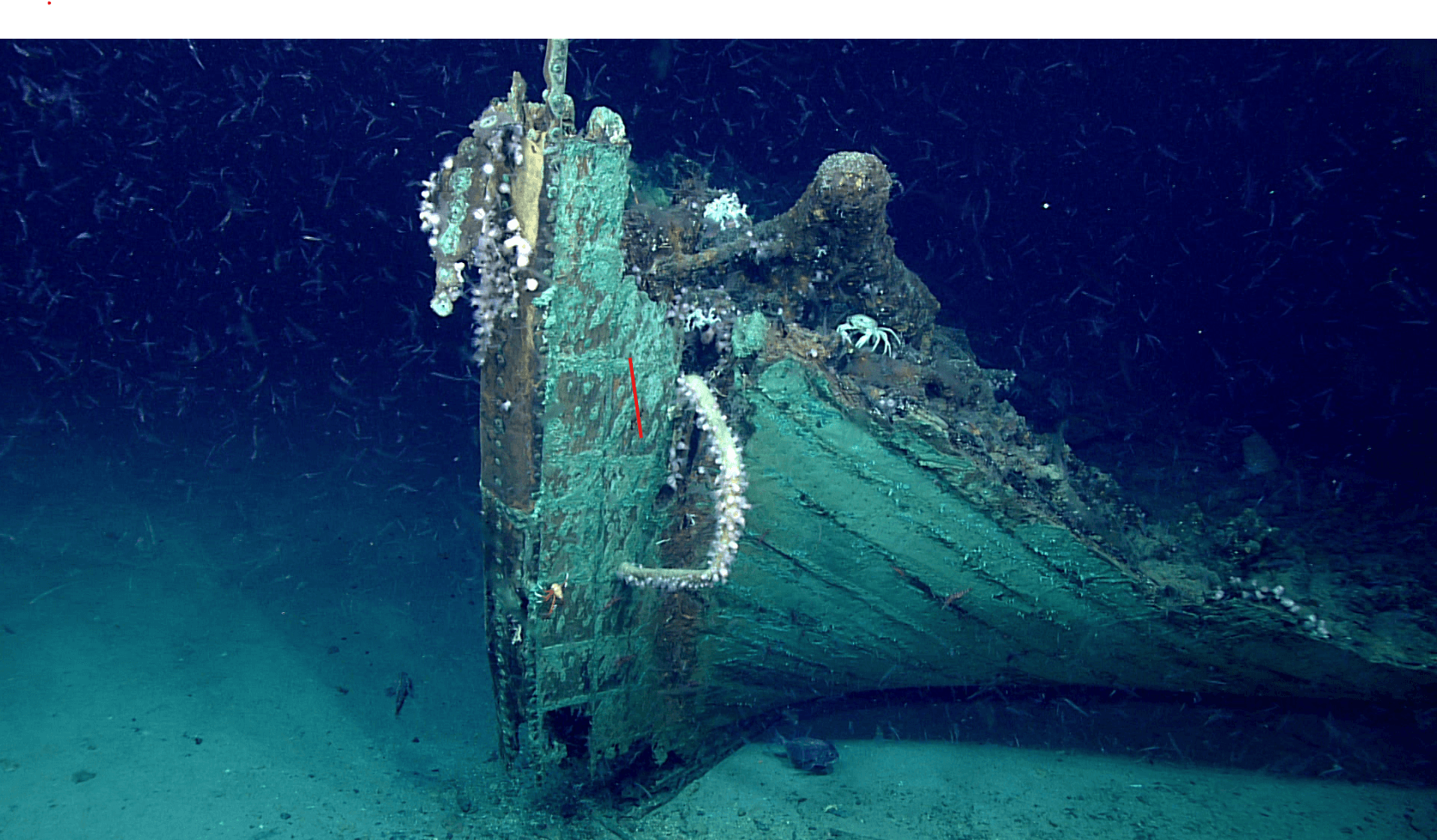 GTA 5 Shipwrecks and Hidden Underwater Treasures: The Complete Guide